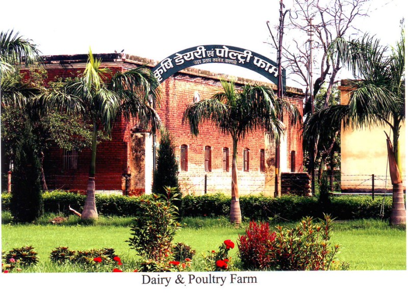 Udai Pratap College Varanasi Academic Building photo 6